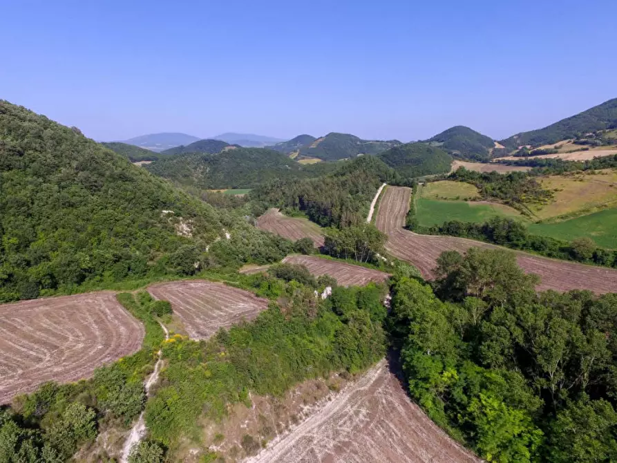 Immagine 8 di Rustico / casale in vendita  in località Orsaiola a Urbania