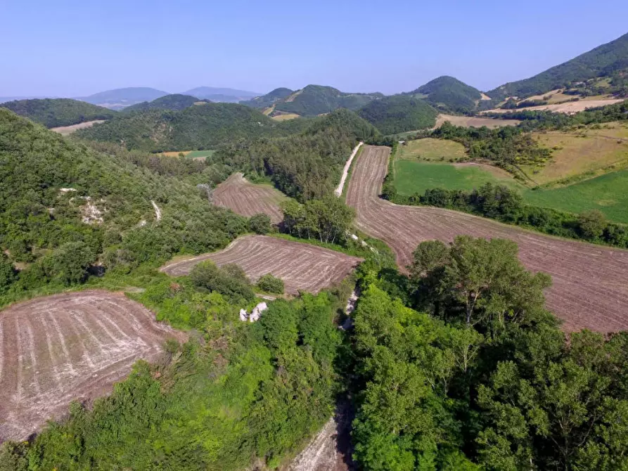 Immagine 9 di Rustico / casale in vendita  in località Orsaiola a Urbania