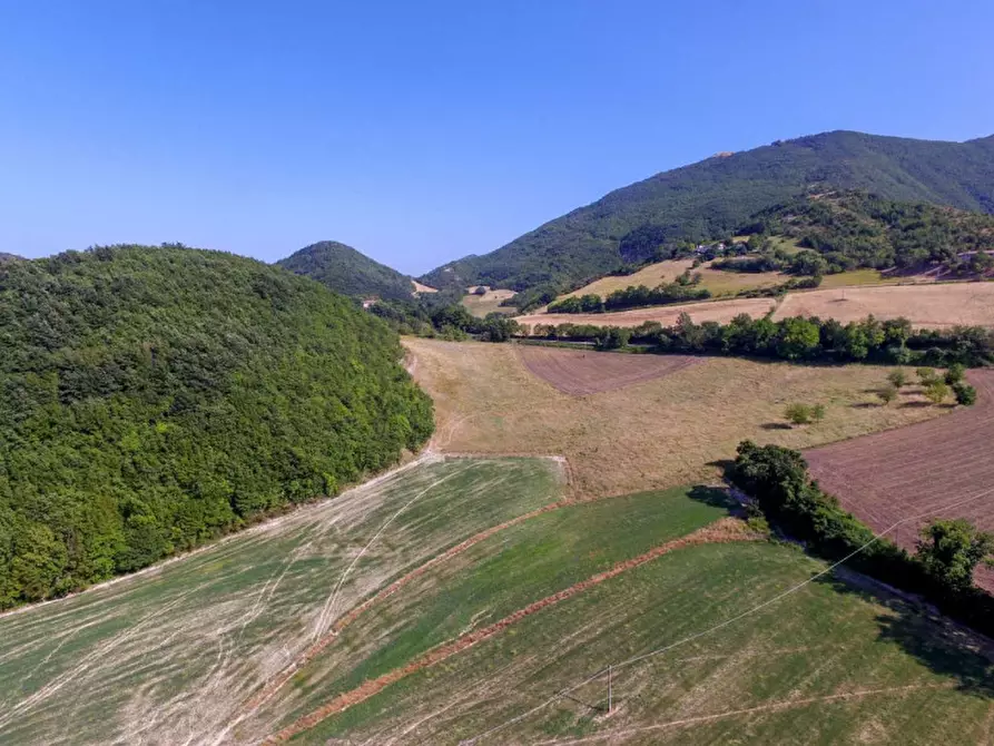 Immagine 10 di Rustico / casale in vendita  in località Orsaiola a Urbania