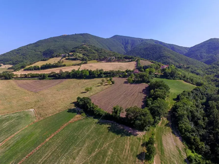 Immagine 11 di Rustico / casale in vendita  in località Orsaiola a Urbania