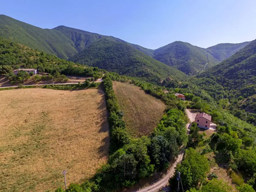 Immagine 12 di Rustico / casale in vendita  in località Orsaiola a Urbania