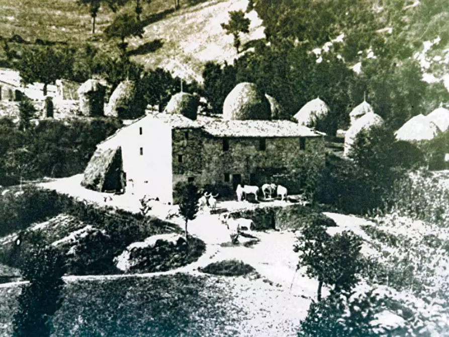 Immagine 14 di Rustico / casale in vendita  in località Orsaiola a Urbania