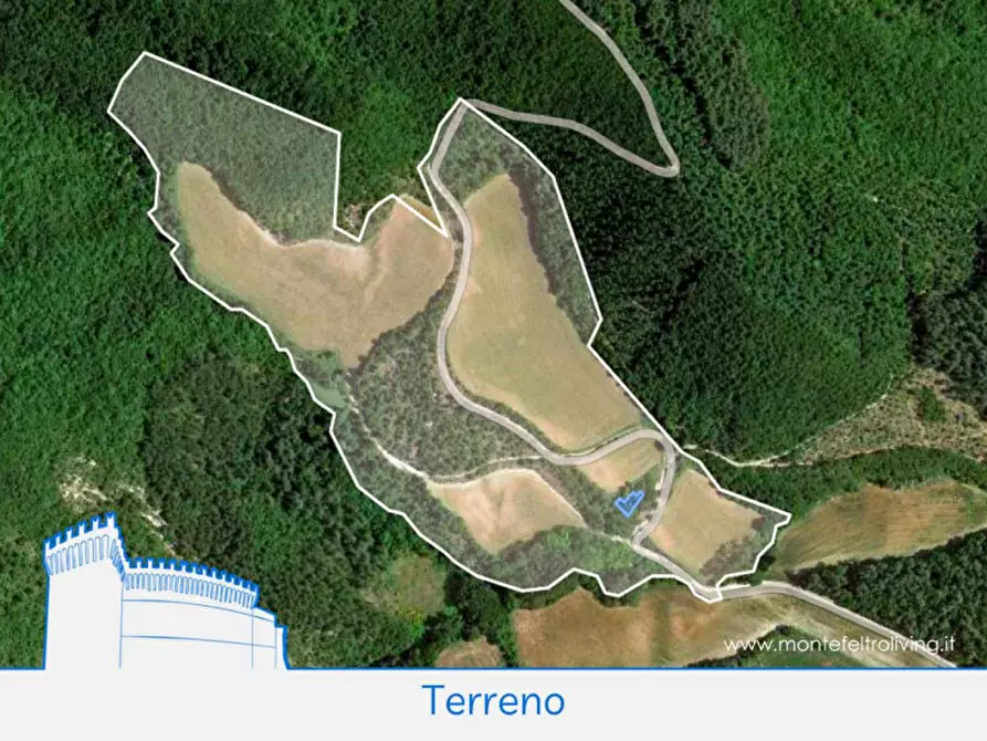 Immagine 15 di Rustico / casale in vendita  in località Orsaiola a Urbania