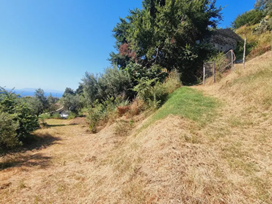Immagine 2 di Casa indipendente in vendita  in CONTRADA FILICUSI a Santa Lucia Del Mela