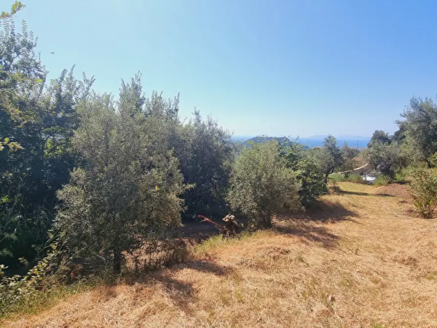 Immagine 3 di Casa indipendente in vendita  in CONTRADA FILICUSI a Santa Lucia Del Mela