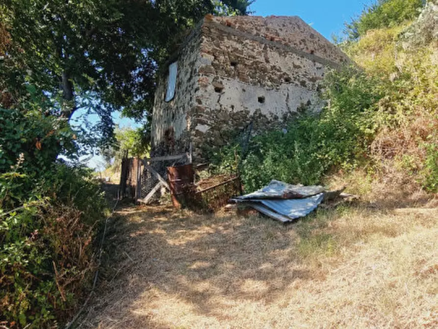 Immagine 4 di Casa indipendente in vendita  in CONTRADA FILICUSI a Santa Lucia Del Mela