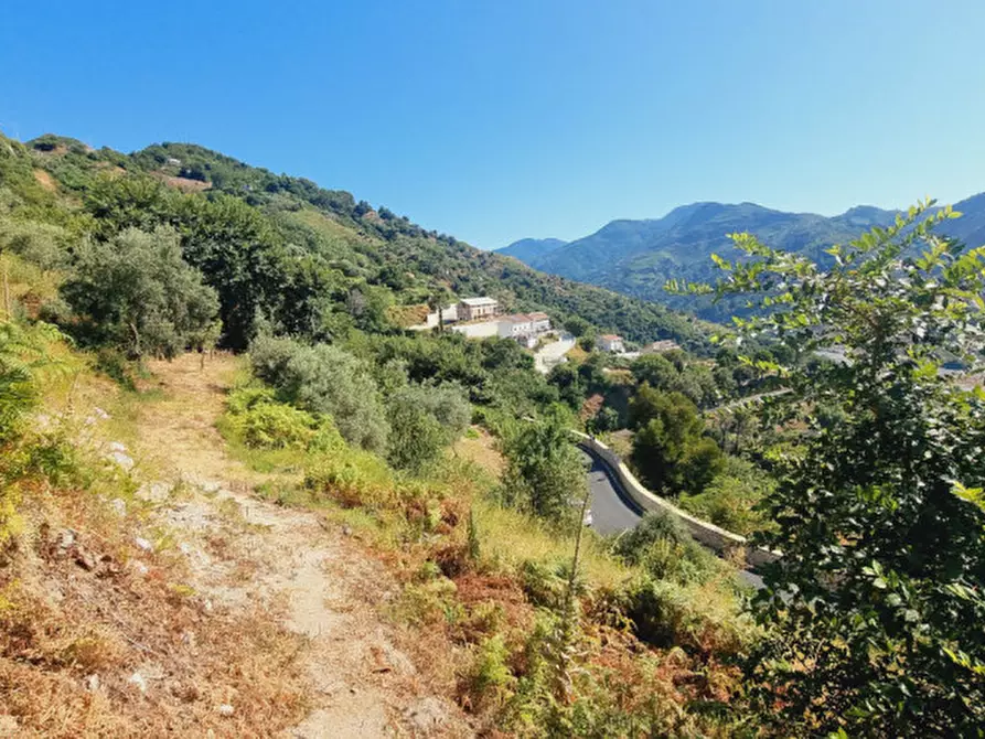 Immagine 6 di Casa indipendente in vendita  in CONTRADA FILICUSI a Santa Lucia Del Mela
