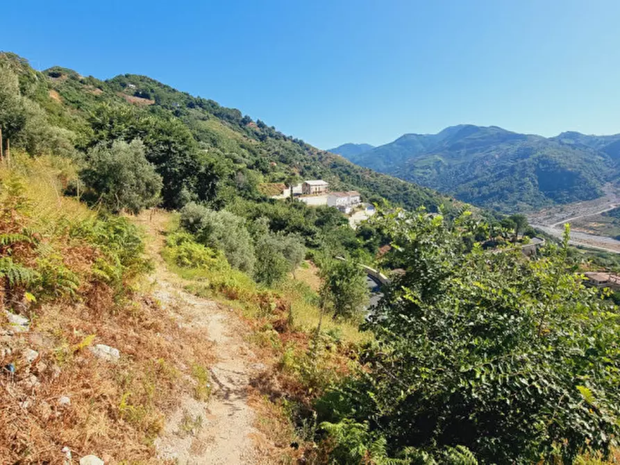 Immagine 9 di Casa indipendente in vendita  in CONTRADA FILICUSI a Santa Lucia Del Mela