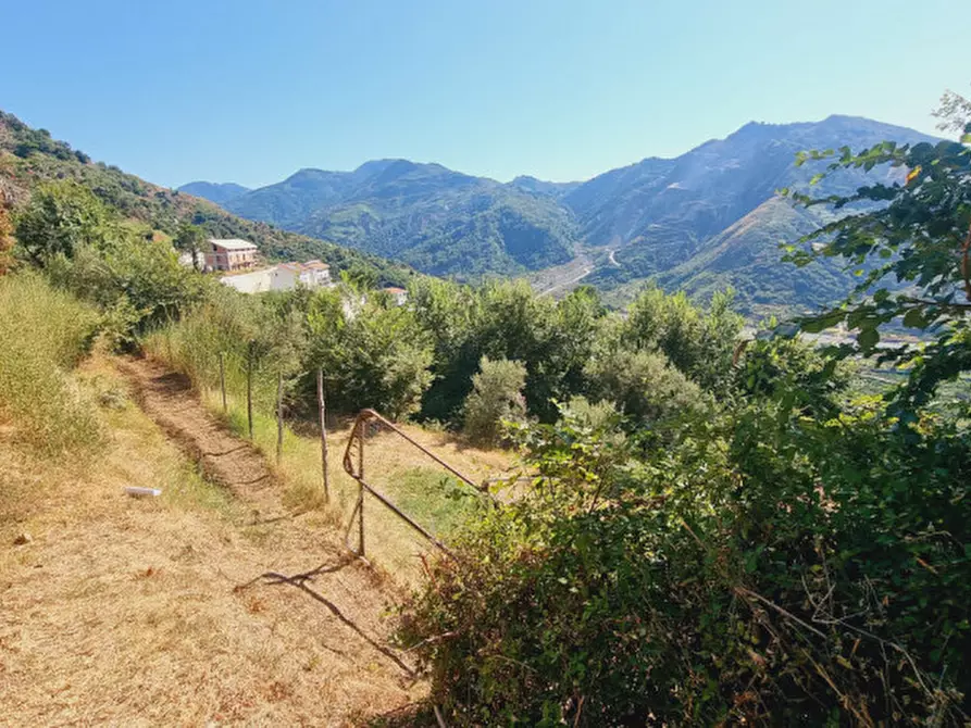 Immagine 12 di Casa indipendente in vendita  in CONTRADA FILICUSI a Santa Lucia Del Mela