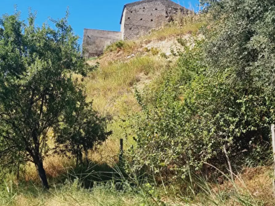 Immagine 14 di Casa indipendente in vendita  in CONTRADA FILICUSI a Santa Lucia Del Mela