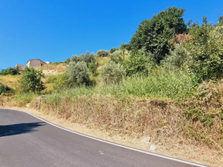 Immagine 15 di Casa indipendente in vendita  in CONTRADA FILICUSI a Santa Lucia Del Mela