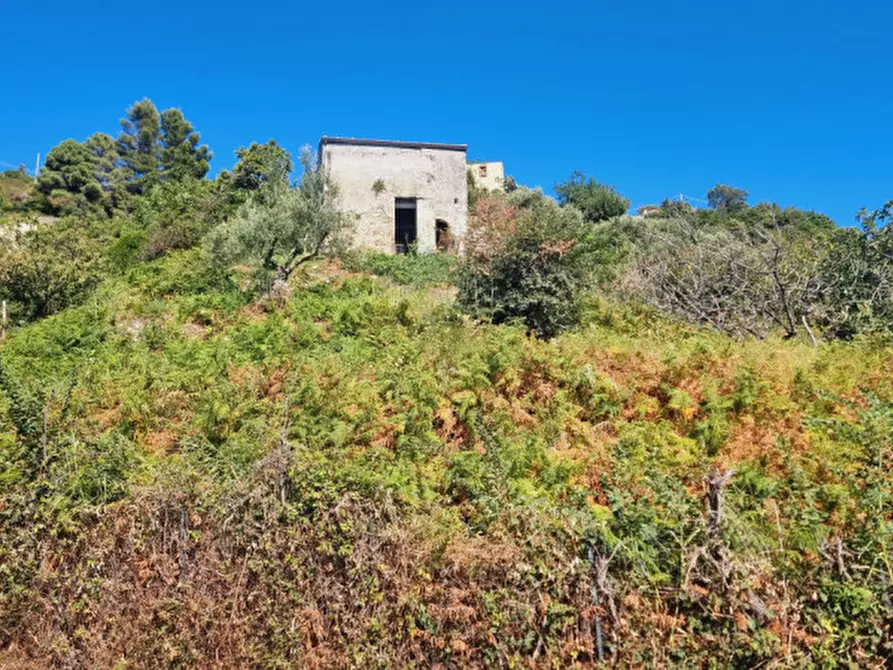 Immagine 16 di Casa indipendente in vendita  in CONTRADA FILICUSI a Santa Lucia Del Mela
