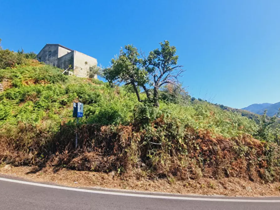 Immagine 17 di Casa indipendente in vendita  in CONTRADA FILICUSI a Santa Lucia Del Mela