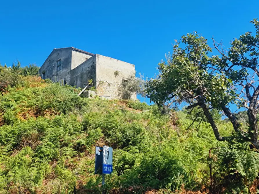 Immagine 18 di Casa indipendente in vendita  in CONTRADA FILICUSI a Santa Lucia Del Mela