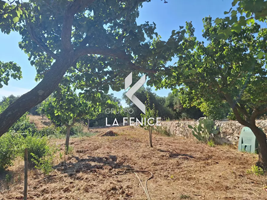 Immagine 23 di Rustico / casale in vendita  in contrada Nunzio / Martucci a Locorotondo