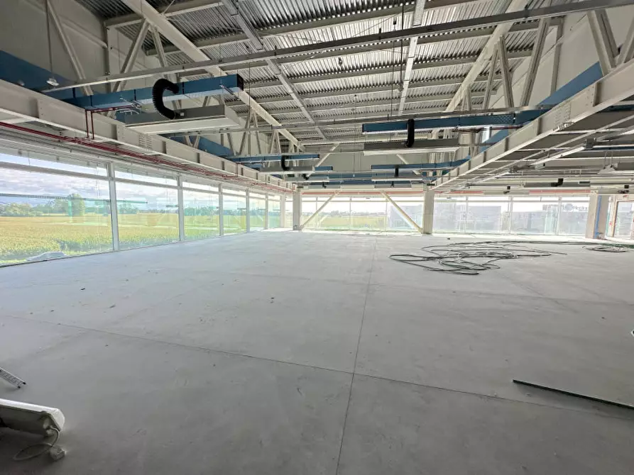 Immagine 5 di Ufficio in affitto  in Via Perteselle a San Martino Di Lupari