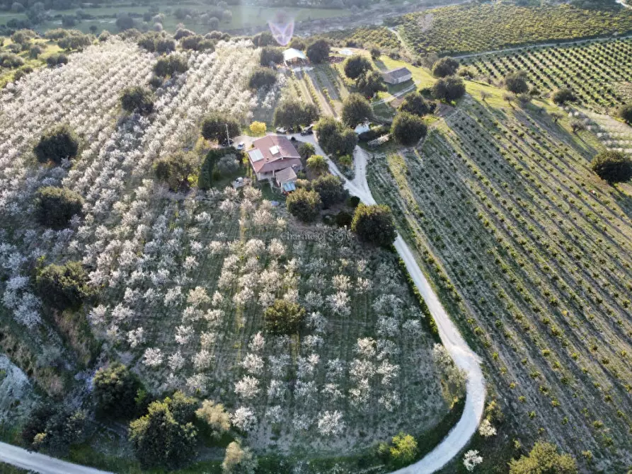 Immagine 1 di Casa indipendente in vendita  in Cozzo Carrubbelli a Noto