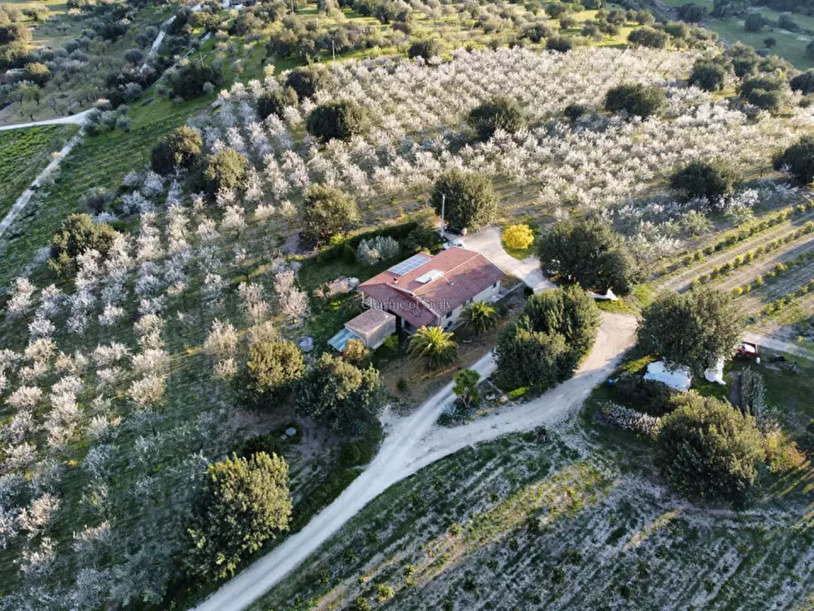 Immagine 2 di Casa indipendente in vendita  in Cozzo Carrubbelli a Noto
