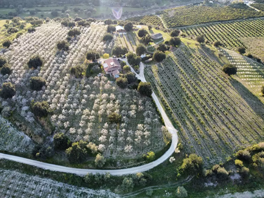 Immagine 3 di Casa indipendente in vendita  in Cozzo Carrubbelli a Noto