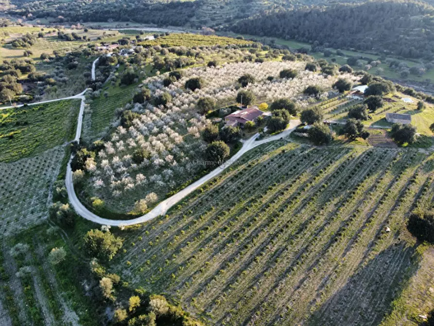Immagine 4 di Casa indipendente in vendita  in Cozzo Carrubbelli a Noto