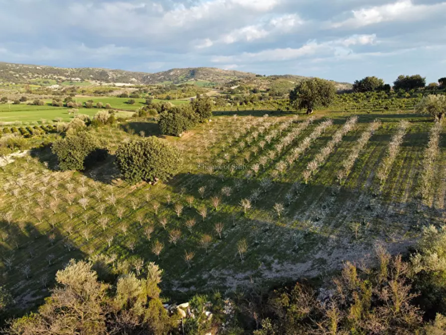 Immagine 5 di Casa indipendente in vendita  in Cozzo Carrubbelli a Noto