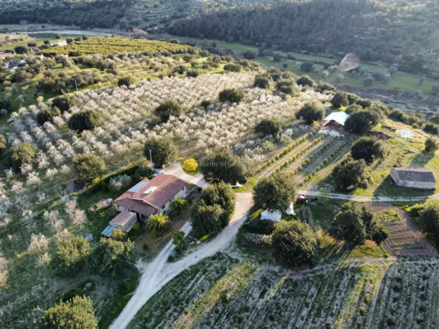 Immagine 7 di Casa indipendente in vendita  in Cozzo Carrubbelli a Noto
