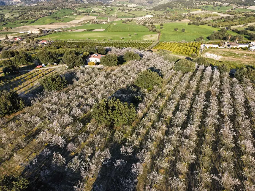 Immagine 8 di Casa indipendente in vendita  in Cozzo Carrubbelli a Noto