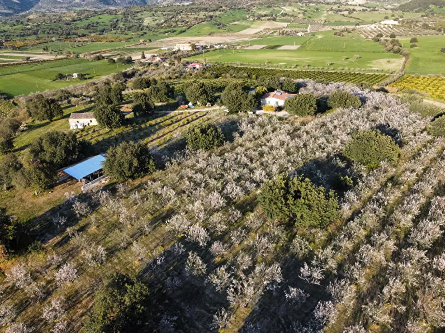 Immagine 9 di Casa indipendente in vendita  in Cozzo Carrubbelli a Noto