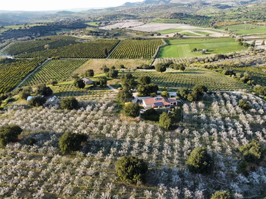 Immagine 10 di Casa indipendente in vendita  in Cozzo Carrubbelli a Noto
