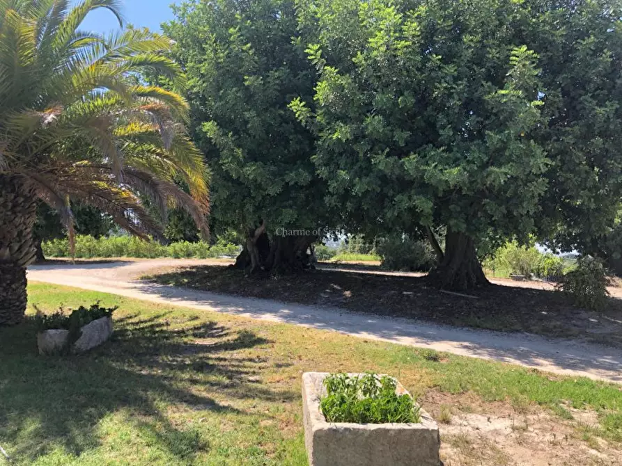 Immagine 13 di Casa indipendente in vendita  in Cozzo Carrubbelli a Noto