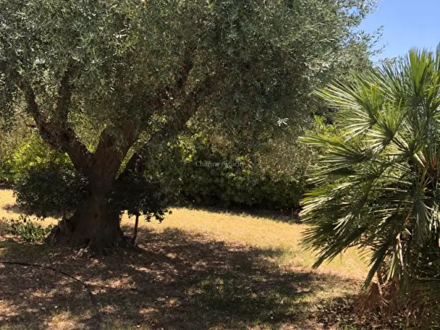 Immagine 16 di Casa indipendente in vendita  in Cozzo Carrubbelli a Noto