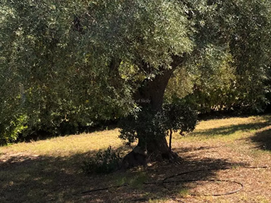 Immagine 21 di Casa indipendente in vendita  in Cozzo Carrubbelli a Noto