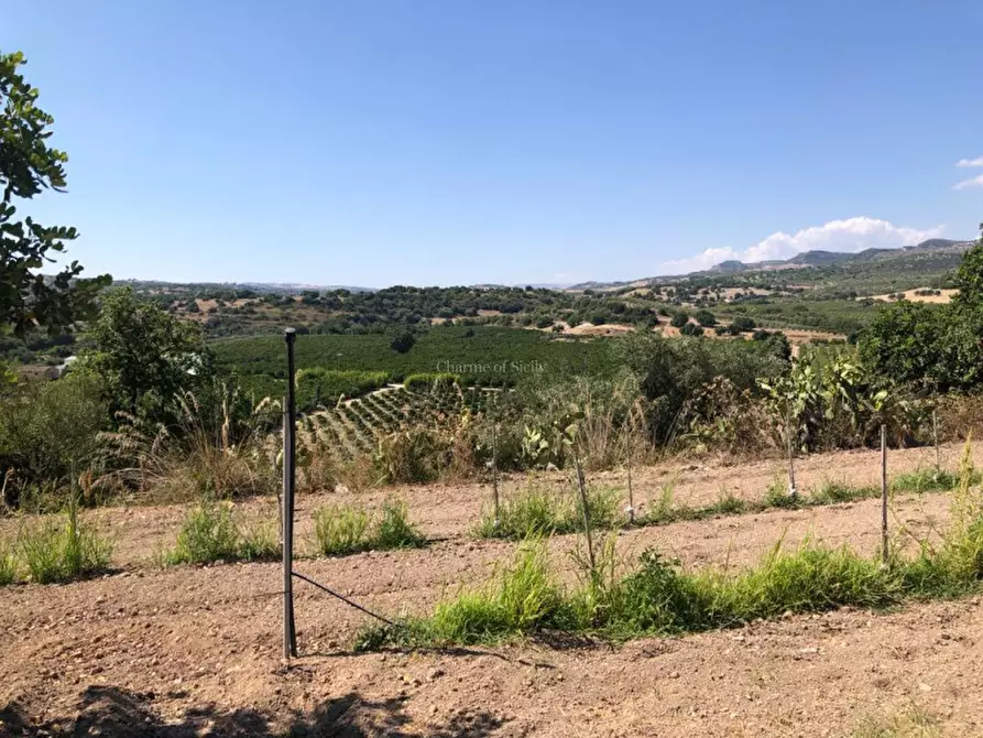 Immagine 22 di Casa indipendente in vendita  in Cozzo Carrubbelli a Noto