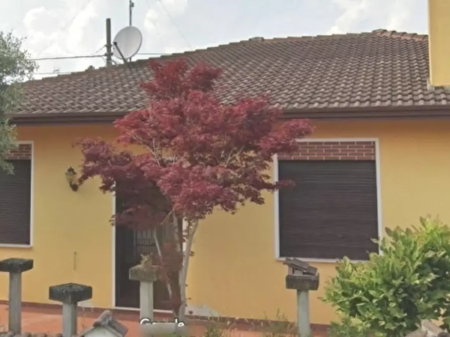 Immagine 1 di Casa indipendente in vendita  a Rovigo