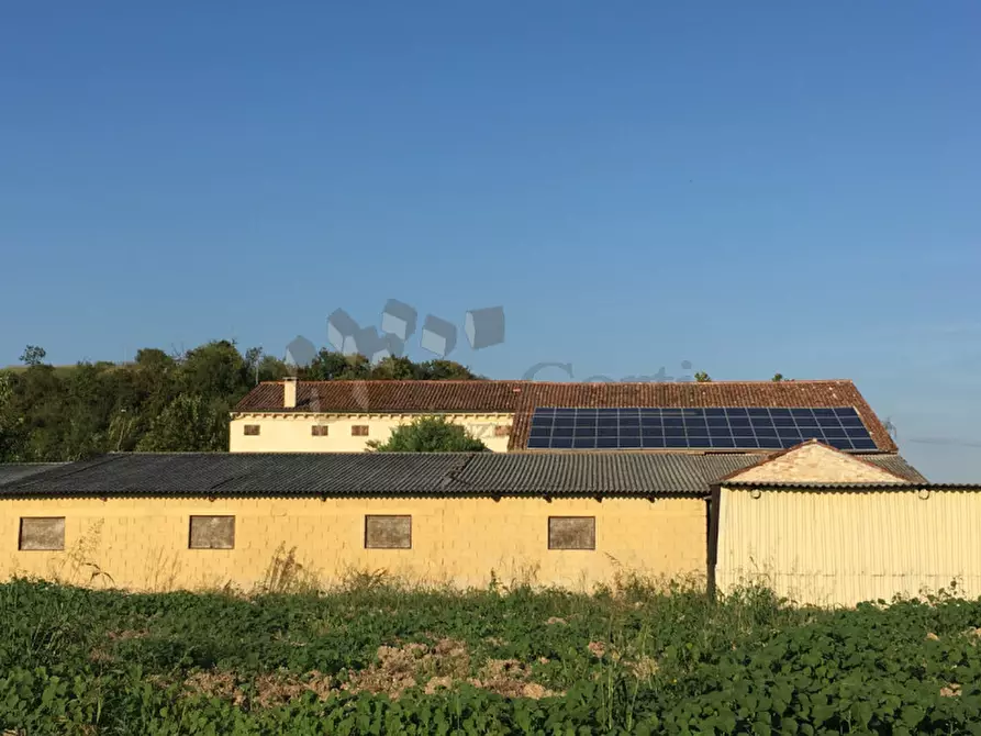 Immagine 3 di Capannone industriale in vendita  a Albettone