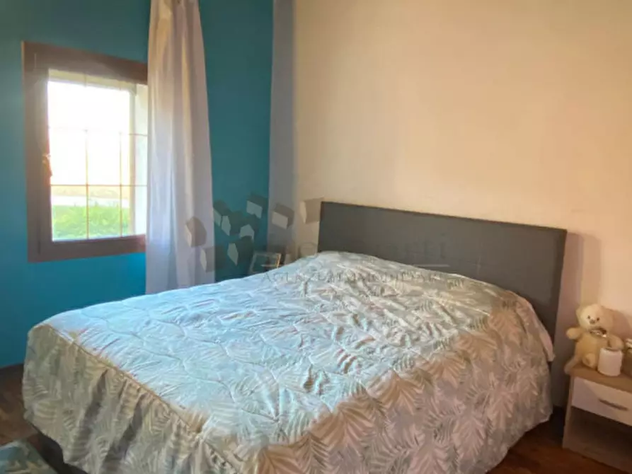 Immagine 14 di Capannone industriale in vendita  a Albettone