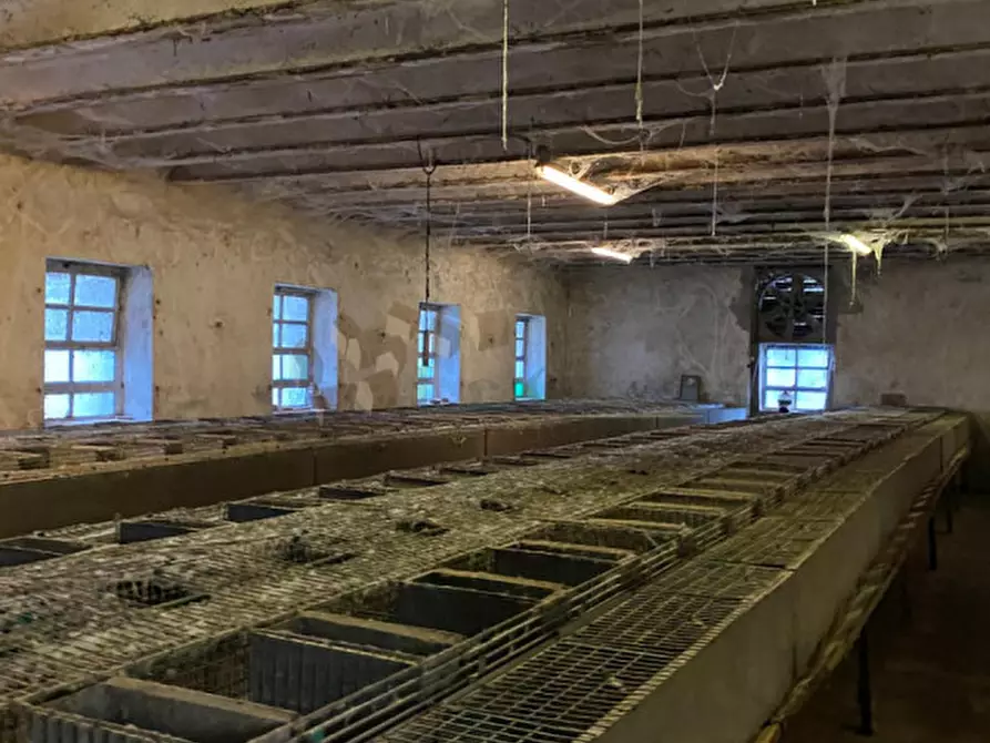 Immagine 23 di Capannone industriale in vendita  a Albettone