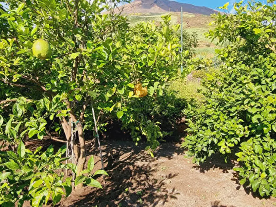 Immagine 32 di Casa indipendente in vendita  in Via Francrsco Natoli snc a Lipari
