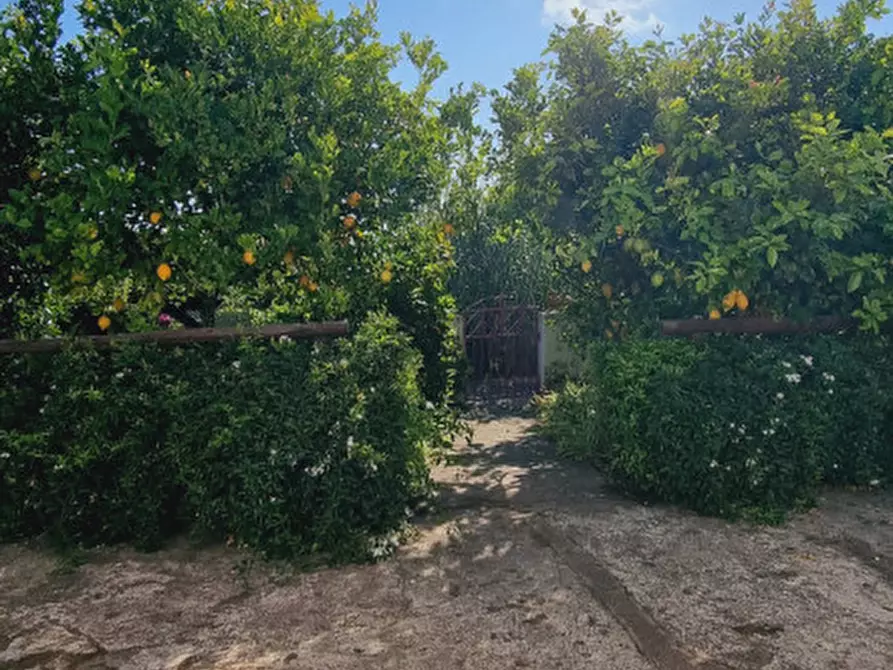 Immagine 35 di Casa indipendente in vendita  in Via Francrsco Natoli snc a Lipari