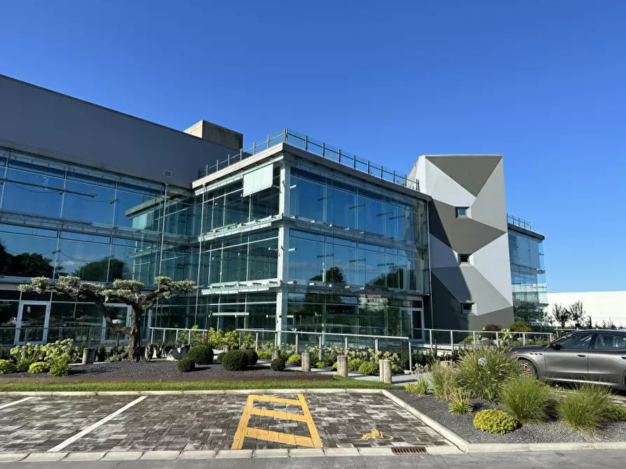 Immagine 5 di Ufficio in affitto  in Via Perteselle a San Martino Di Lupari