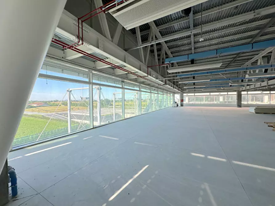 Immagine 18 di Ufficio in affitto  in Via Perteselle a San Martino Di Lupari