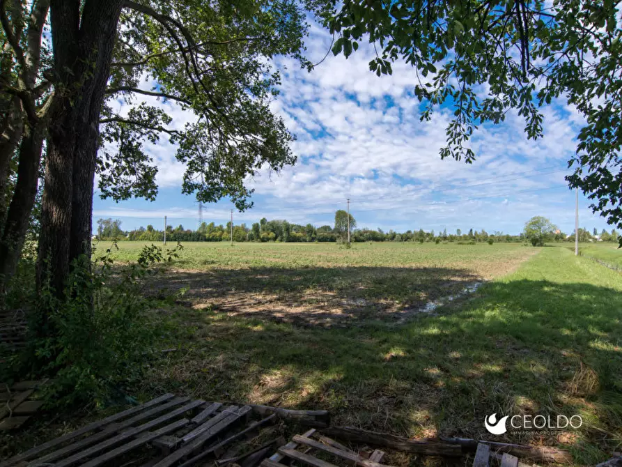 Immagine 4 di Casa bifamiliare in vendita  a Vigonza
