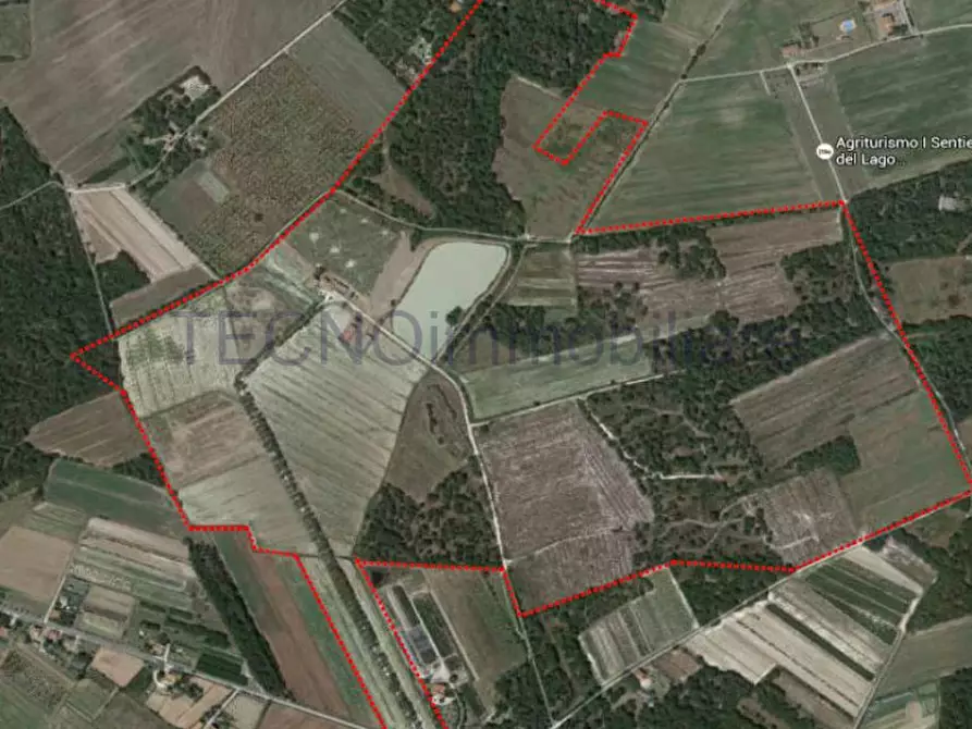 Immagine 3 di Terreno in vendita  in bortoni a Castiglione Del Lago