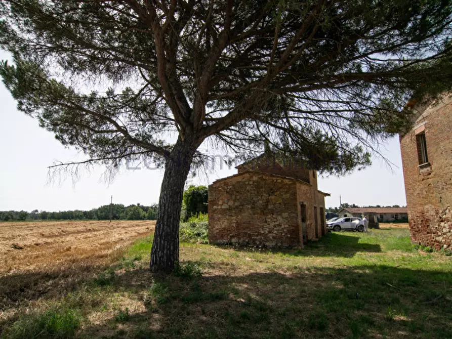 Immagine 5 di Terreno in vendita  in bortoni a Castiglione Del Lago