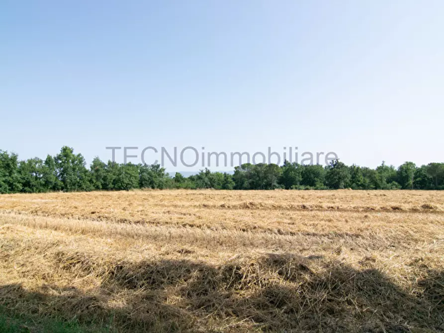 Immagine 6 di Terreno in vendita  in bortoni a Castiglione Del Lago