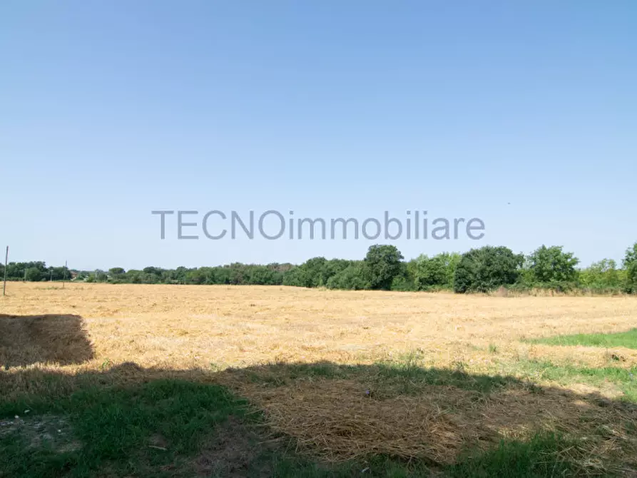 Immagine 7 di Terreno in vendita  in bortoni a Castiglione Del Lago