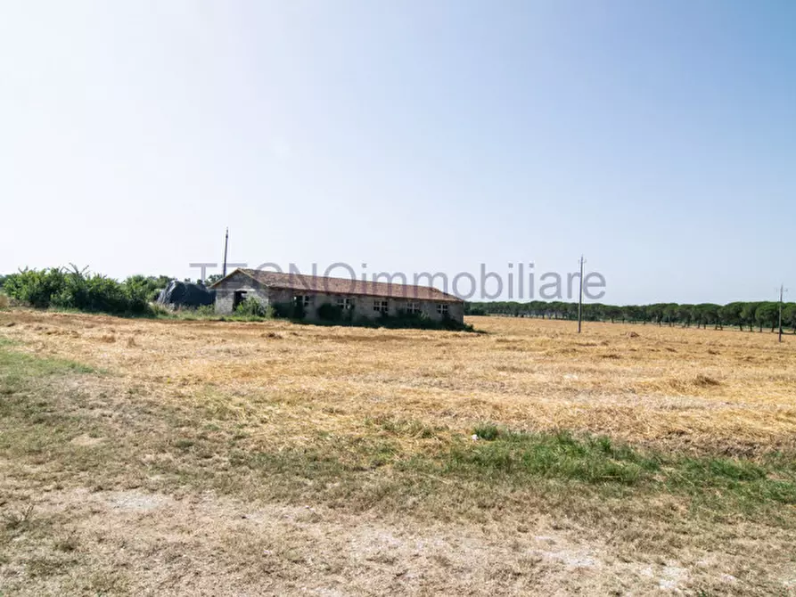 Immagine 9 di Terreno in vendita  in bortoni a Castiglione Del Lago