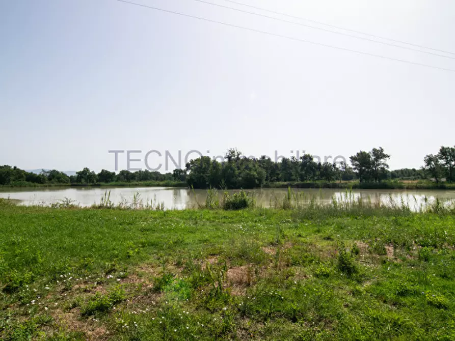 Immagine 10 di Terreno in vendita  in bortoni a Castiglione Del Lago