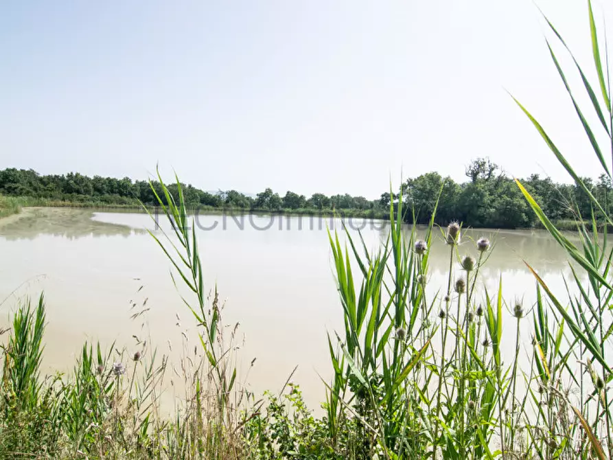 Immagine 11 di Terreno in vendita  in bortoni a Castiglione Del Lago