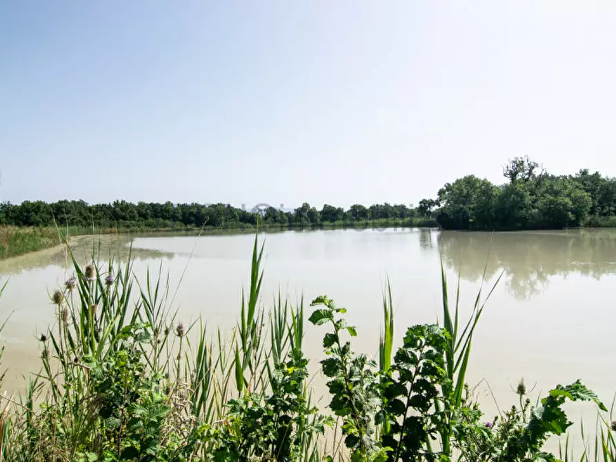 Immagine 12 di Terreno in vendita  in bortoni a Castiglione Del Lago